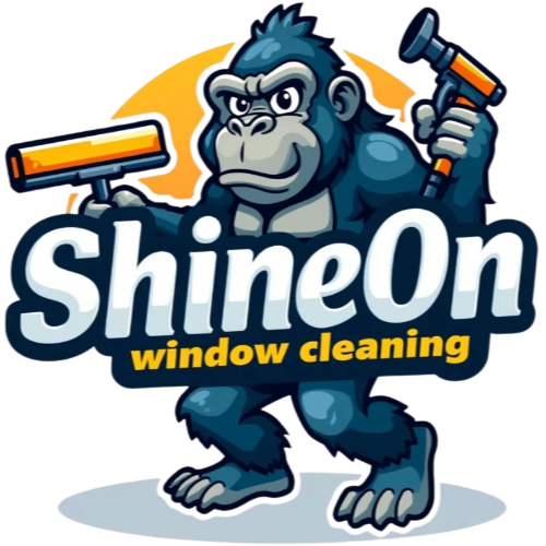 Company Name Company Name
